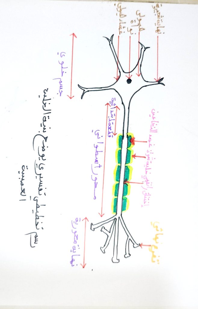 img 20250824 201001