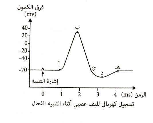img 20250825 135406