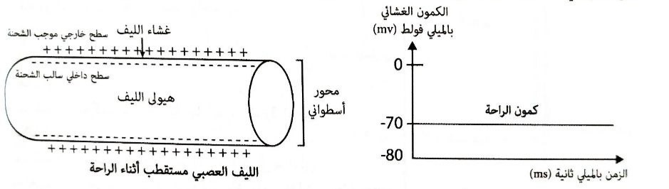 img 20250828 160205