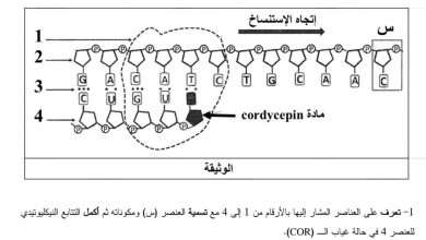 img 20250908 120315