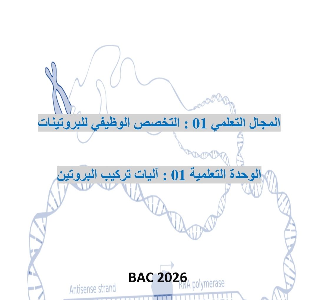 آليات تركيب البروتين من الوحدة الأولى بكالوريا 2026