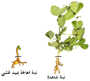 الوثيقة 3