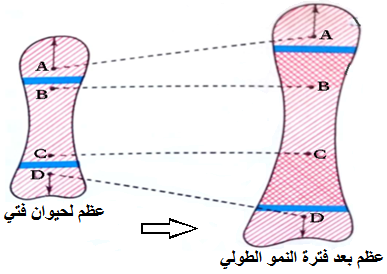 الوثيقة 3