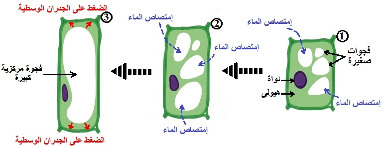 الوثيقة 9