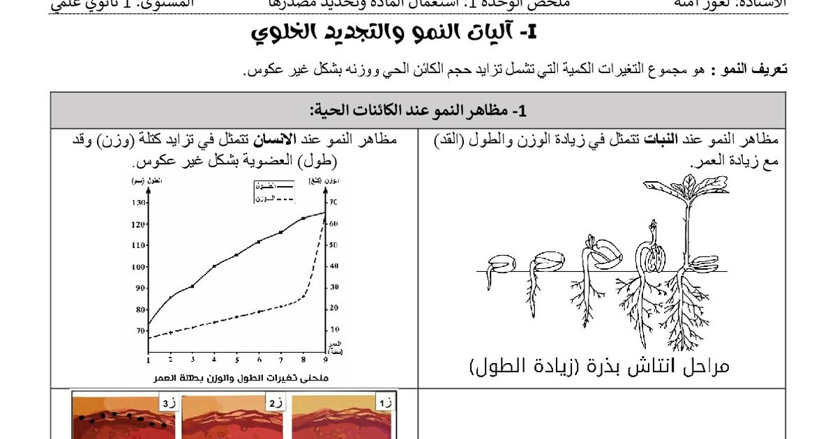 آليات النمو والتجديد الخلوي